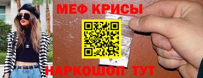 сатива Кингисепп