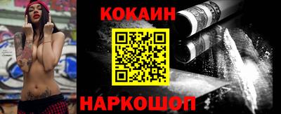 сатива Кингисепп