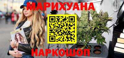 сатива Кингисепп