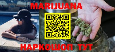 сатива Кингисепп