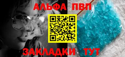 сатива Кингисепп