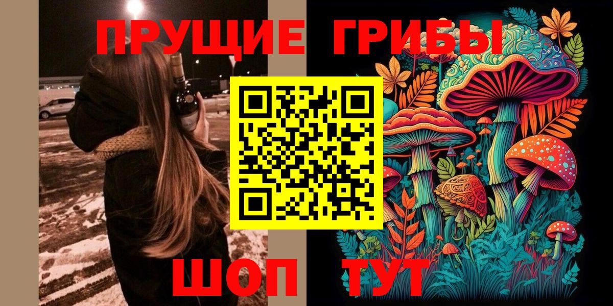 Чехов  наркотики  Вход с VPN  Псилоцибиновые грибы Psilocybine cubensis 