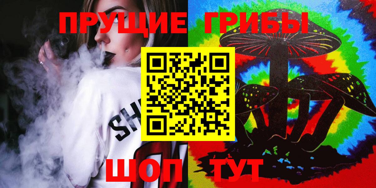 Псилоцибиновые грибы Psilocybe Чехов